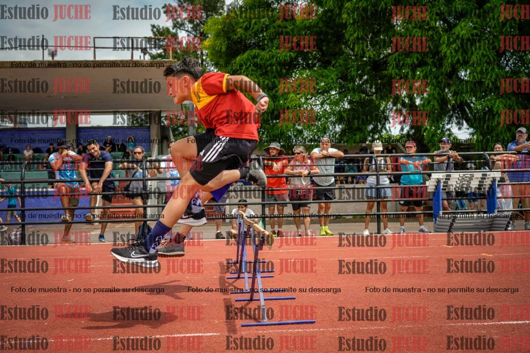 Fotos de los 60 m con vallas de varones