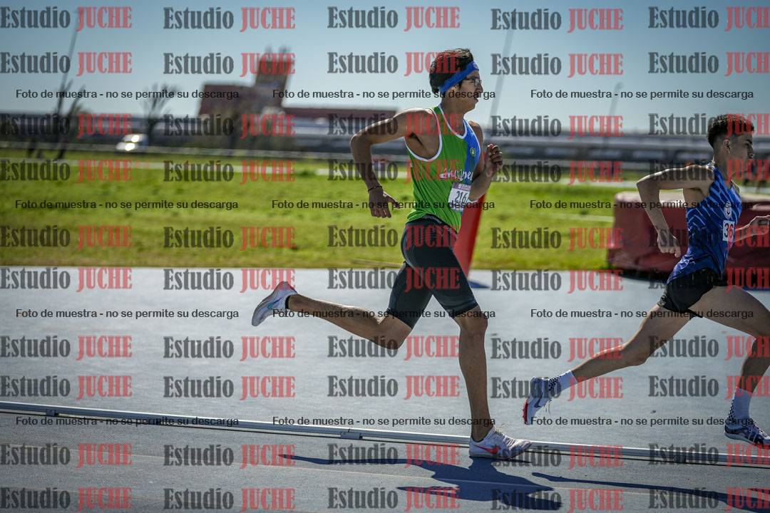 Fotos de los 800 m llanos de varones
