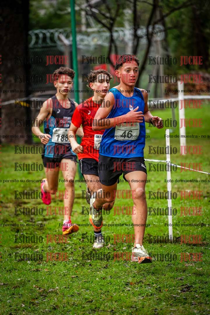 Fotos en el circuito