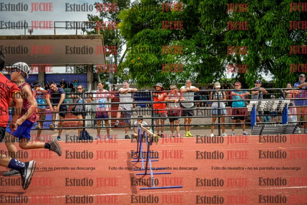 Fotos de los 60 m con vallas de varones