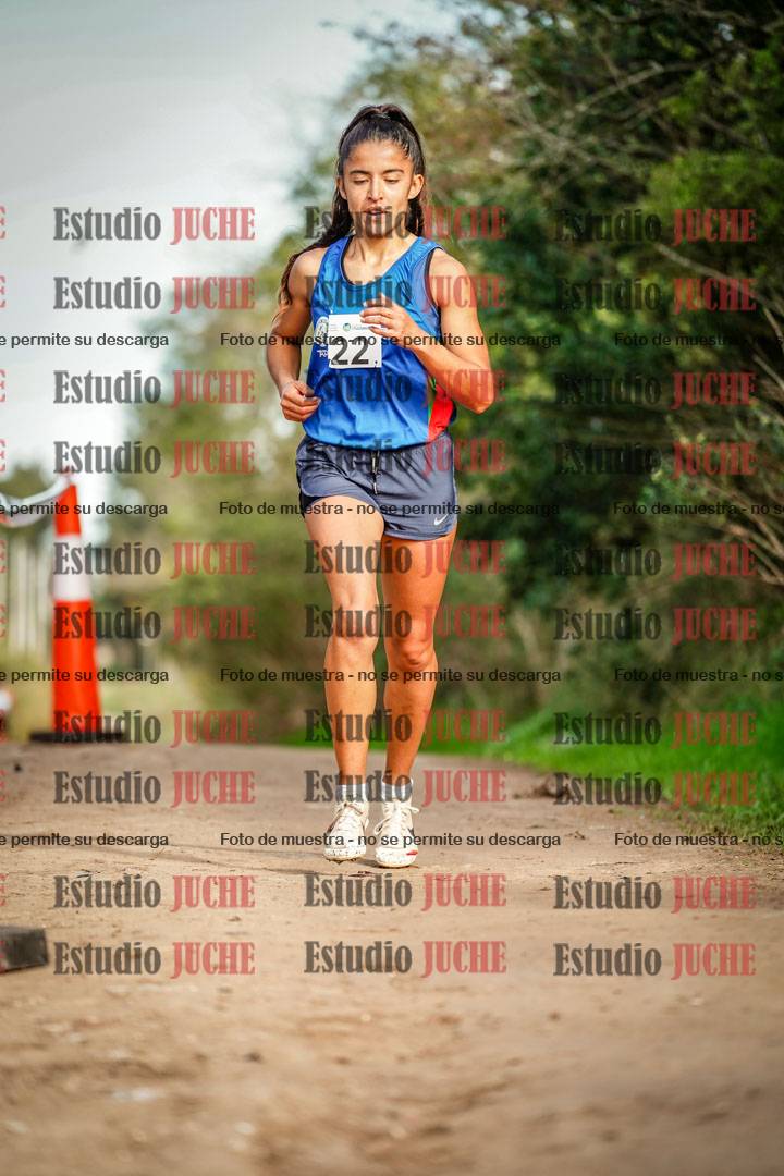 Fotos en el circuito