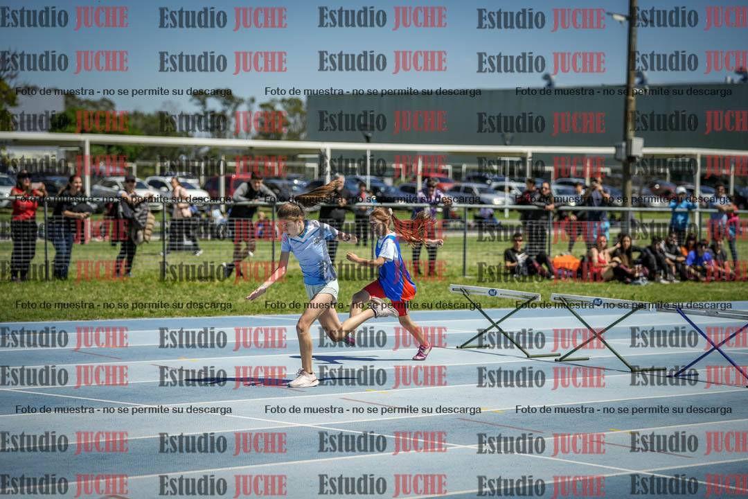 Fotos de los 60 m con vallas de mujeres