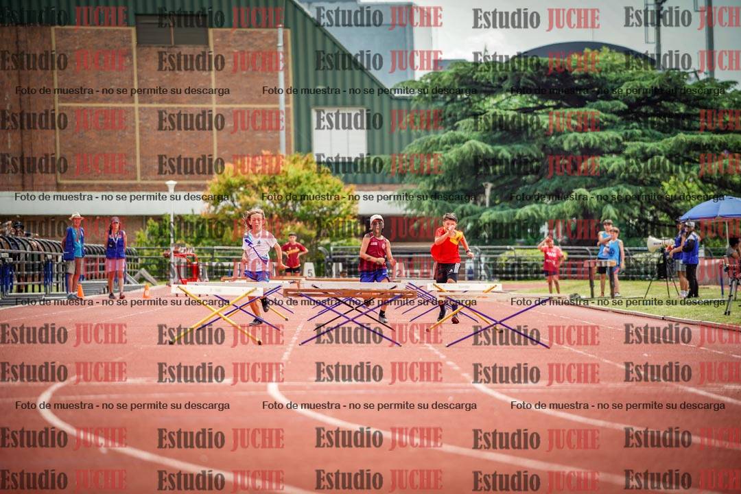 Fotos de los 60 m con vallas de varones