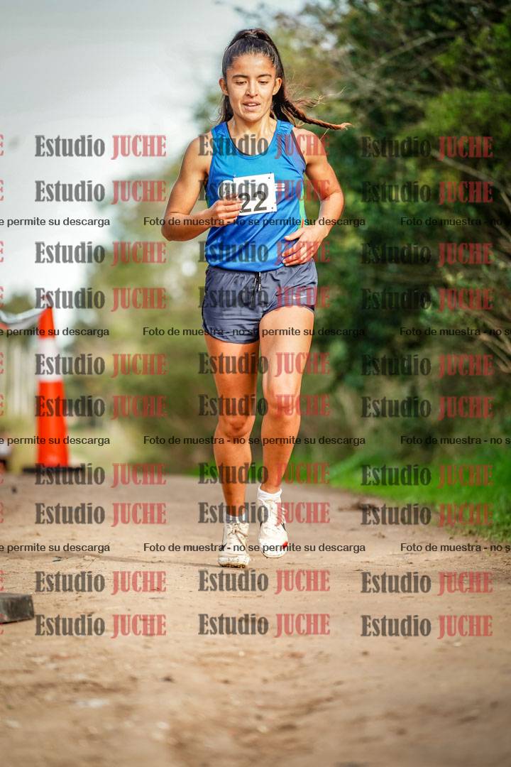 Fotos en el circuito