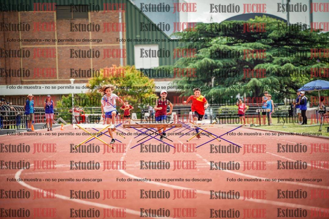 Fotos de los 60 m con vallas de varones