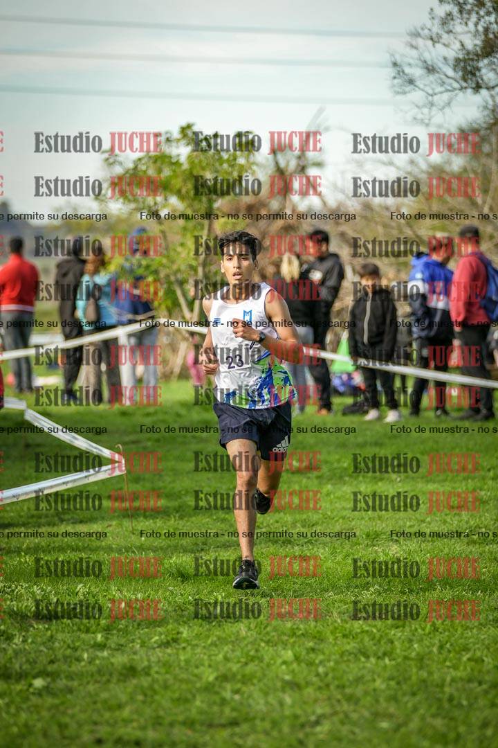 Fotos de la llegada del cross de 6000 m