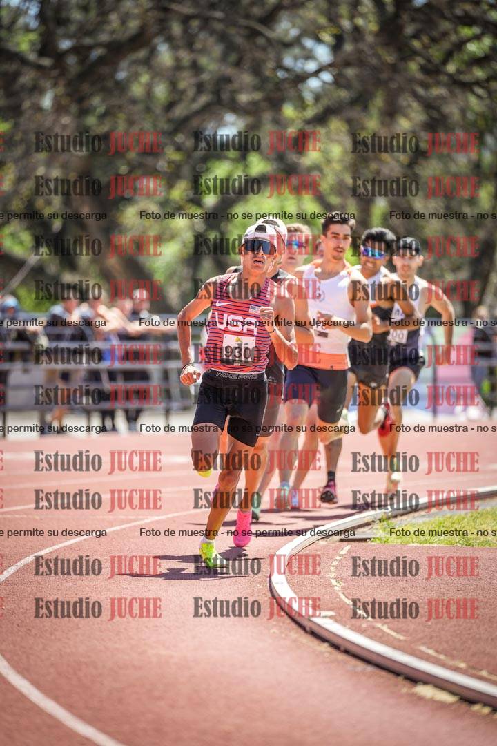 Fotos de los 800 m llanos de varones