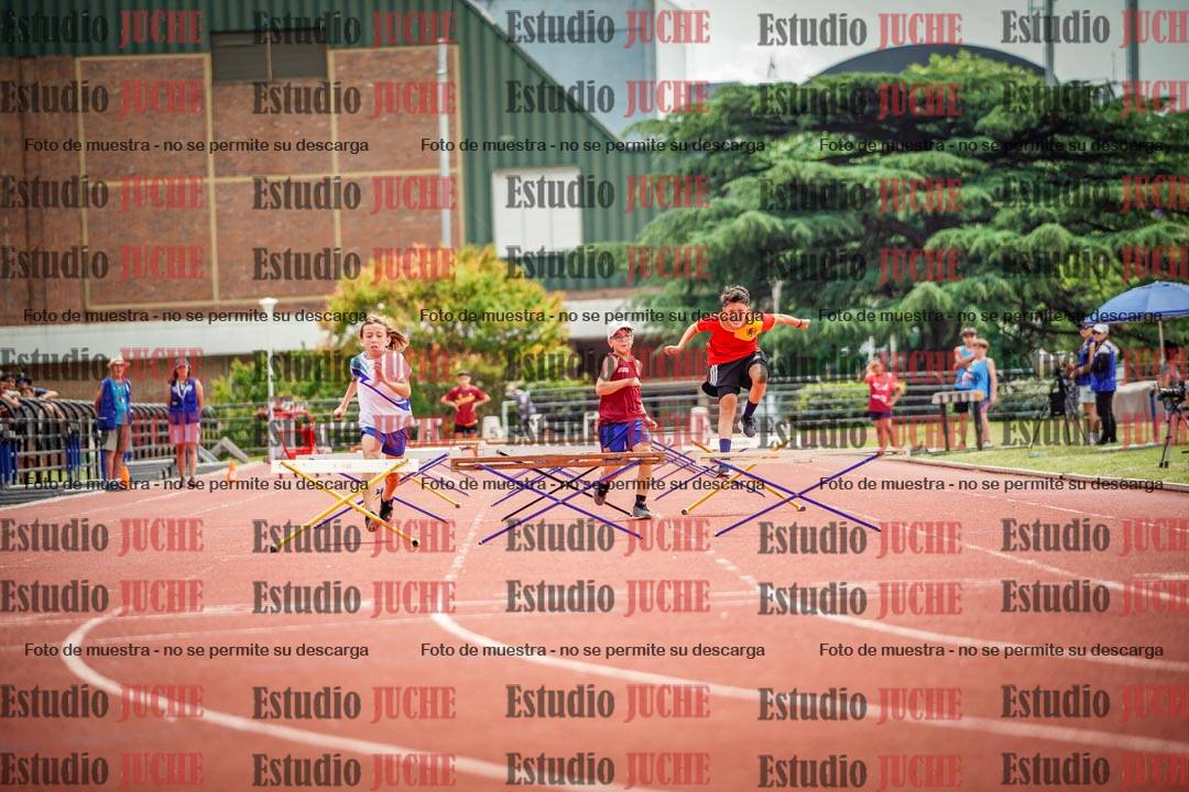 Fotos de los 60 m con vallas de varones