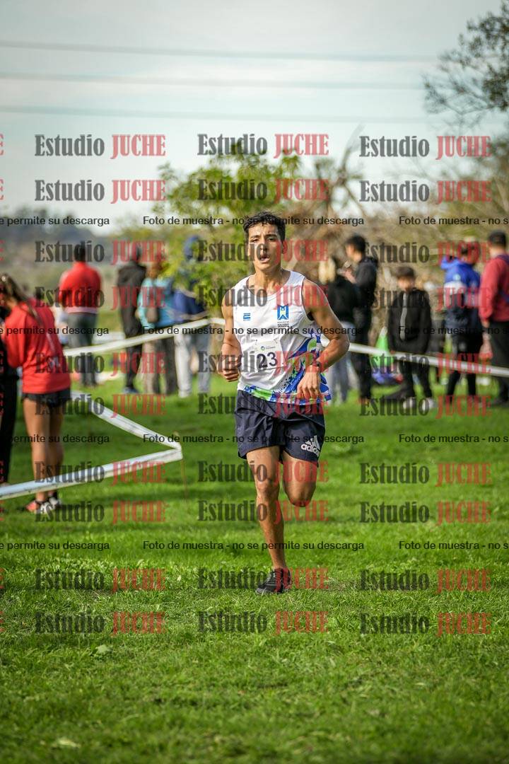 Fotos de la llegada del cross de 6000 m