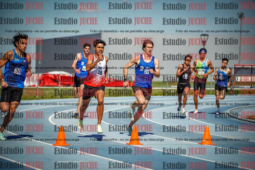Fotos de los 800 m llanos de varones