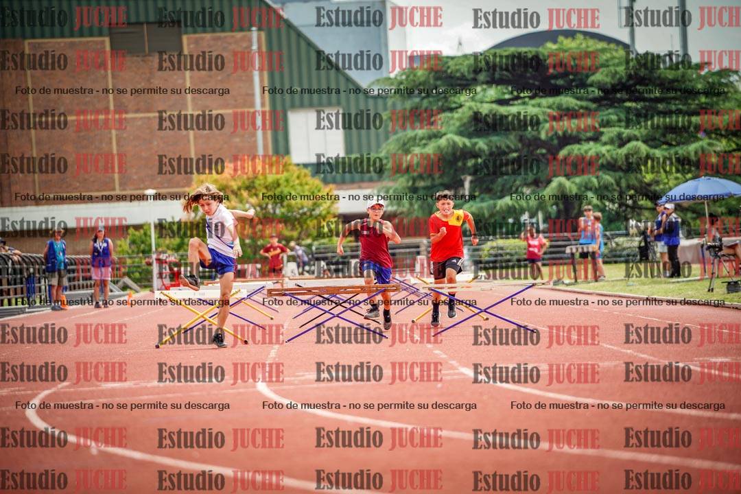 Fotos de los 60 m con vallas de varones