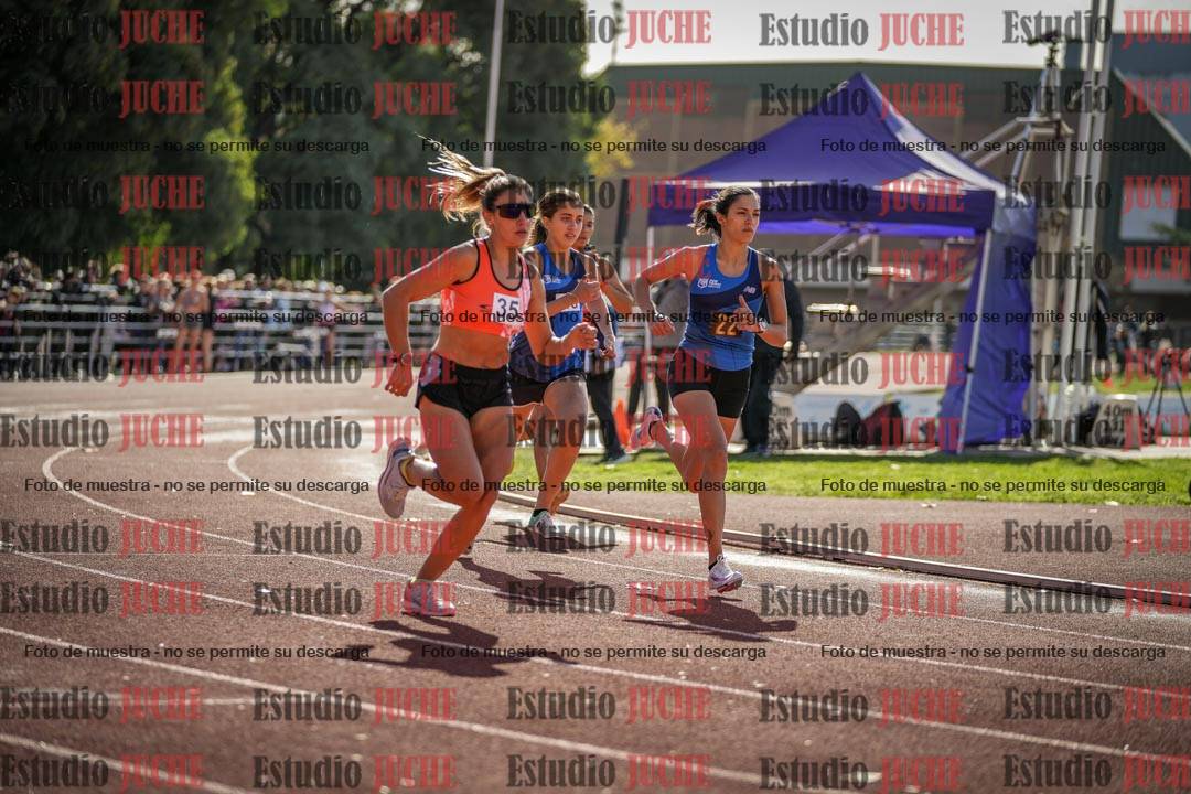 Fotos de los 800 m llanos de mujeres