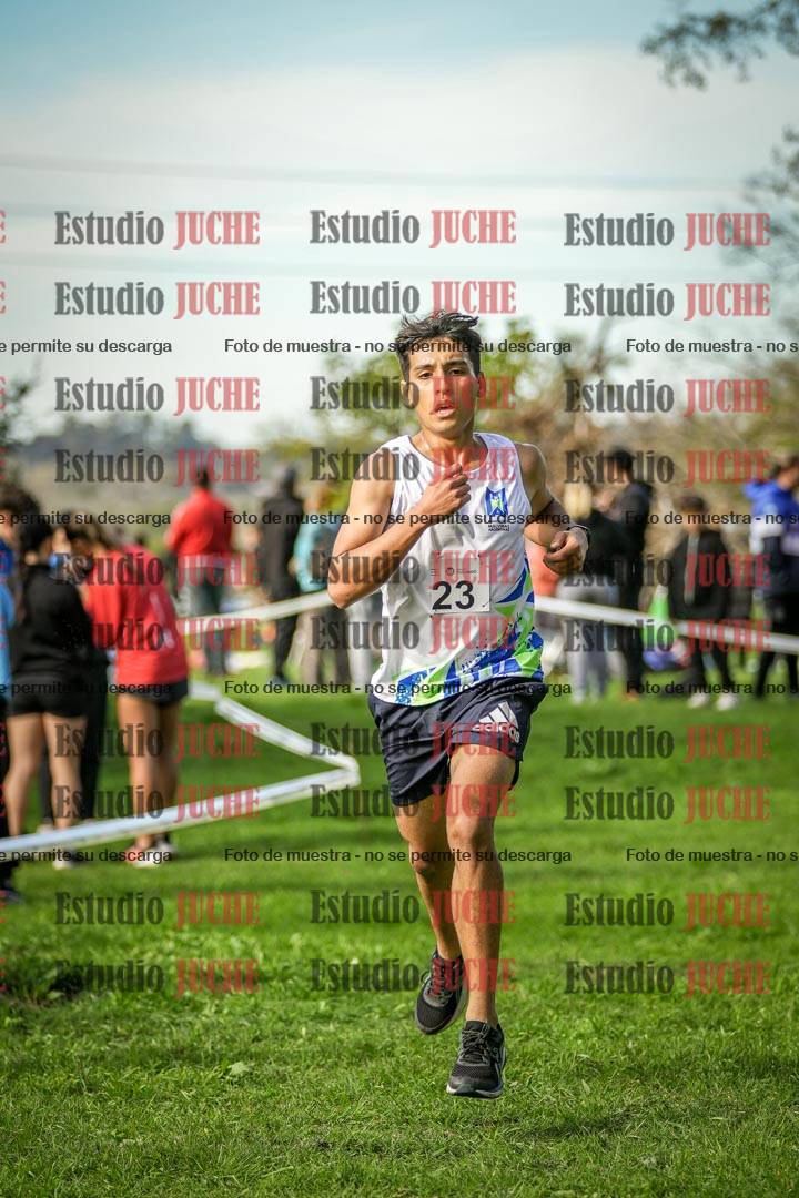 Fotos de la llegada del cross de 6000 m