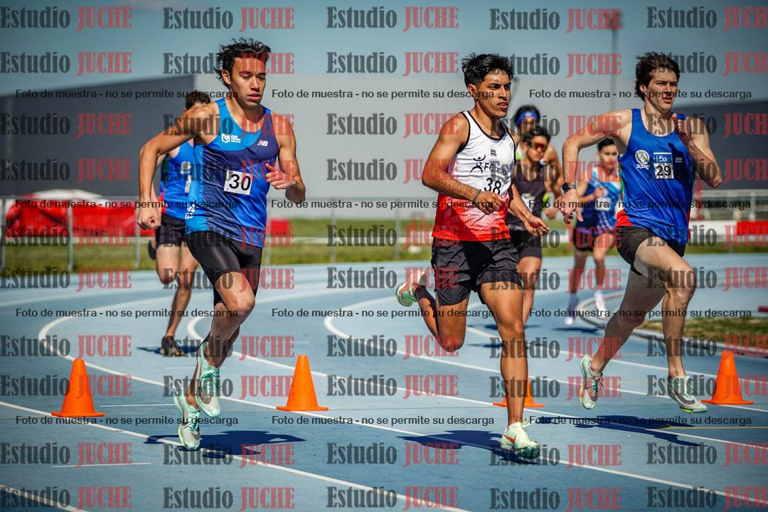 Fotos de los 800 m llanos de varones