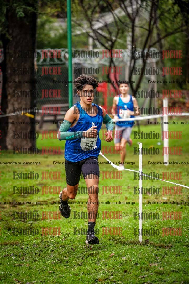 Fotos en el circuito