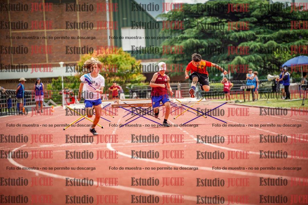 Fotos de los 60 m con vallas de varones