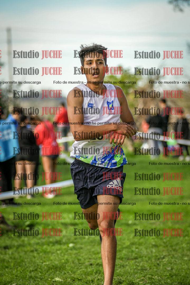 Fotos de la llegada del cross de 6000 m
