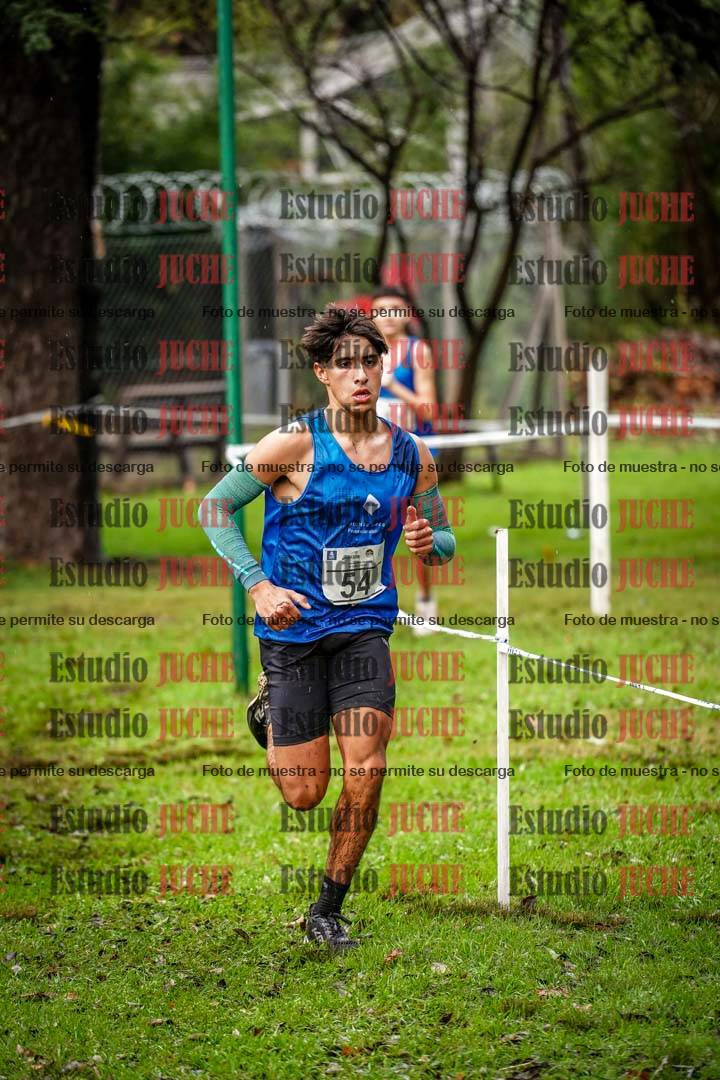 Fotos en el circuito