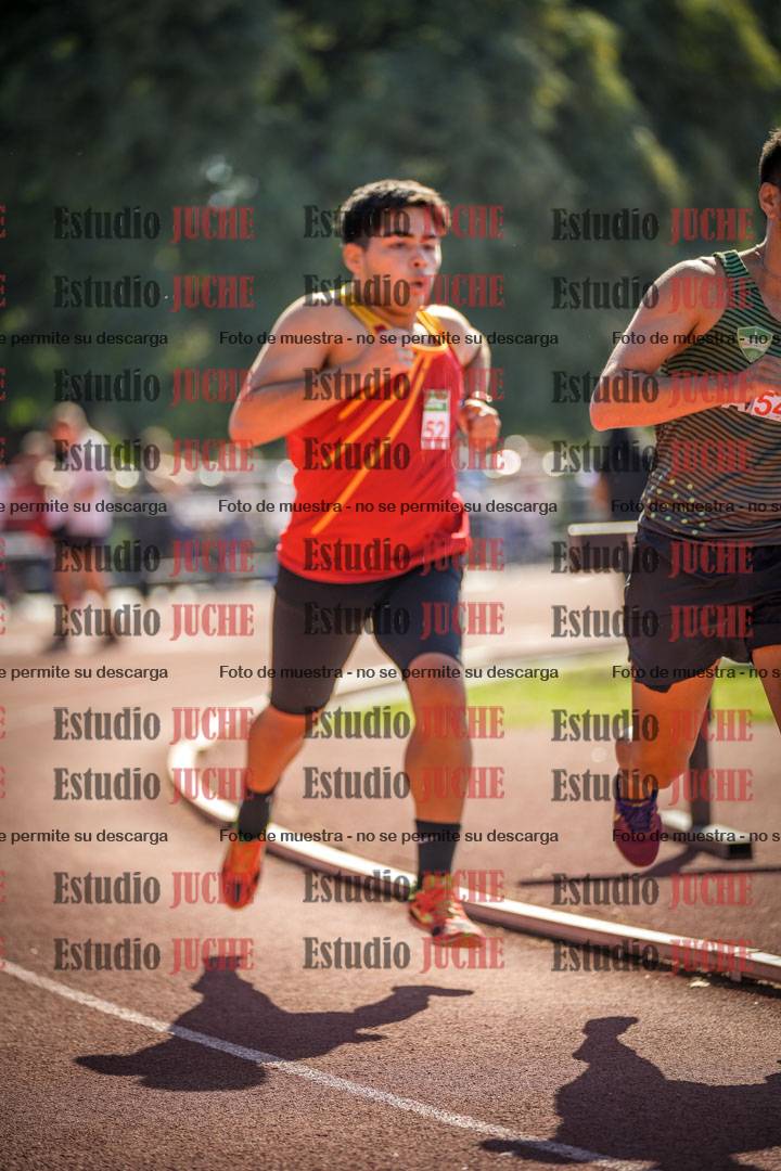 Fotos de los 800 m llanos de varones
