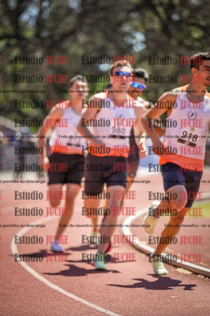 Fotos de los 800 m llanos de varones