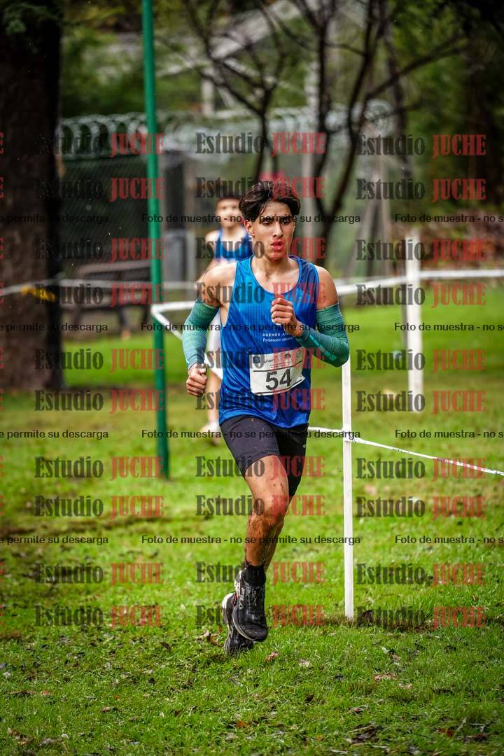 Fotos en el circuito