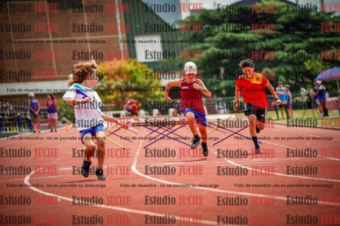 Fotos de los 60 m con vallas de varones