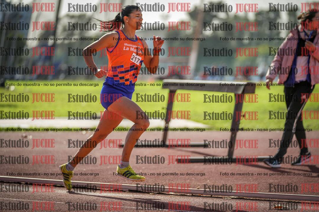 Fotos de los 800 m llanos de mujeres