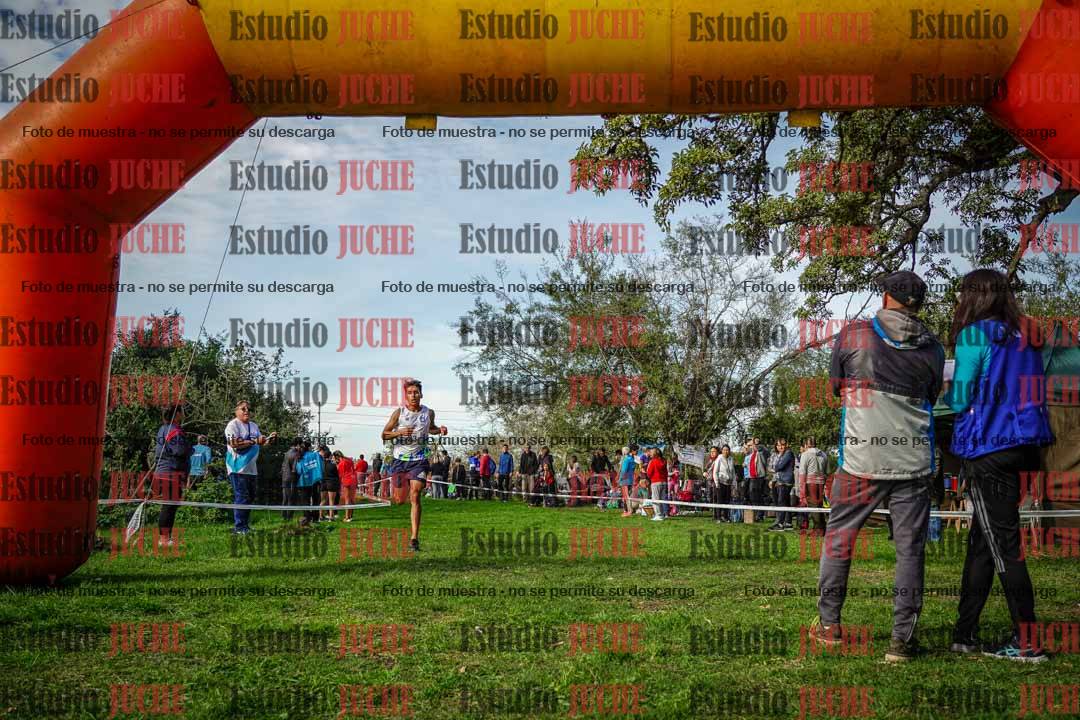 Fotos de la llegada del cross de 6000 m