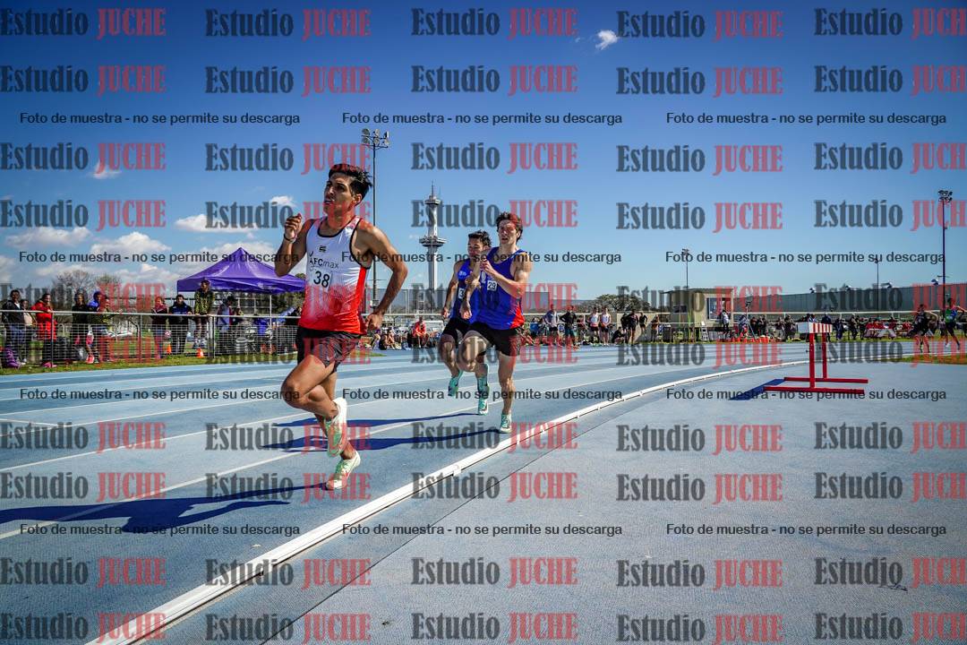 Fotos de los 800 m llanos de varones