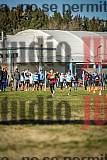 Fotos de las llegadas