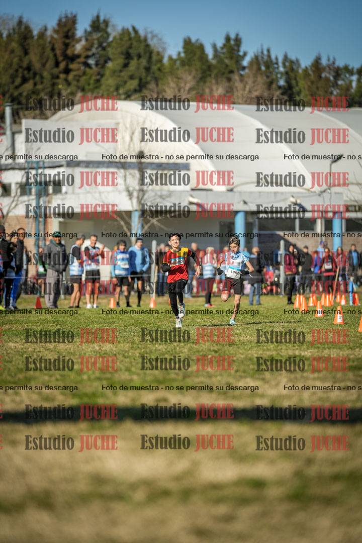 Fotos de las llegadas