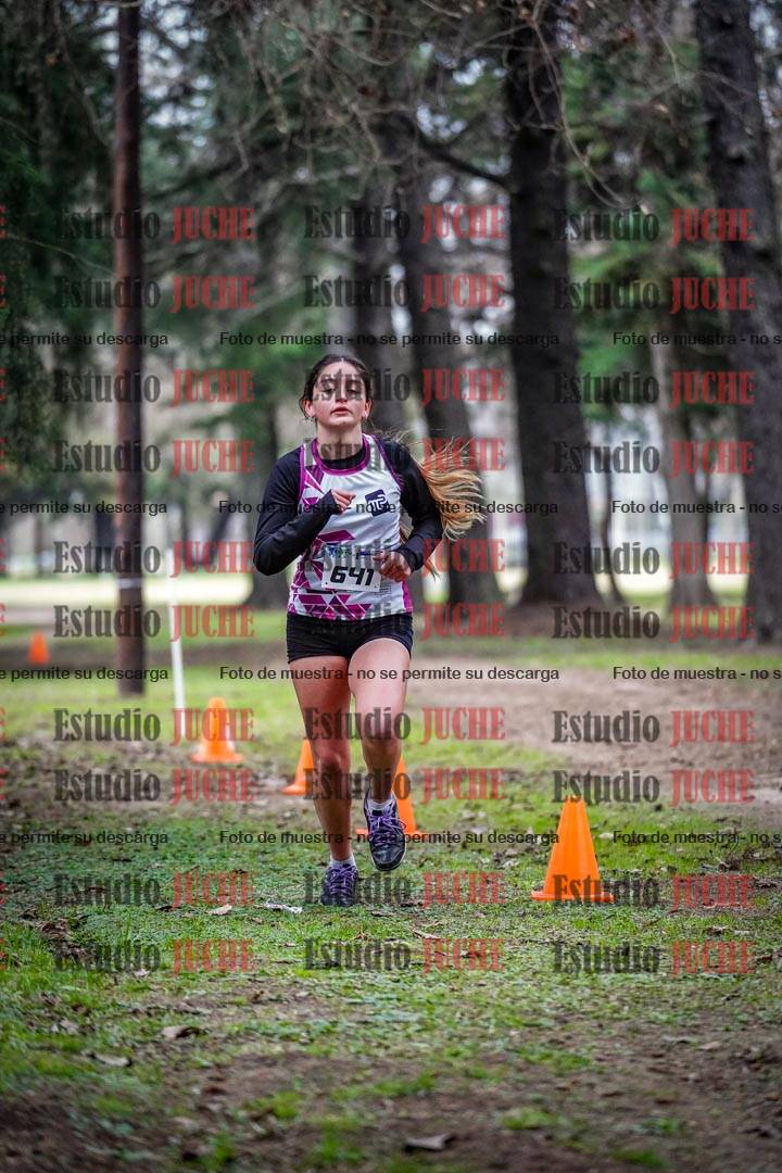 Fotos en el circuito