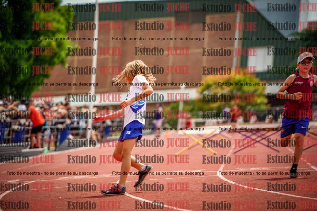 Fotos de los 60 m con vallas de varones