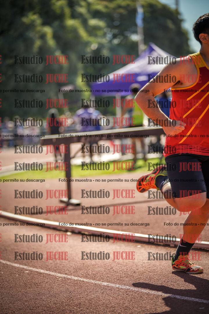 Fotos de los 800 m llanos de varones