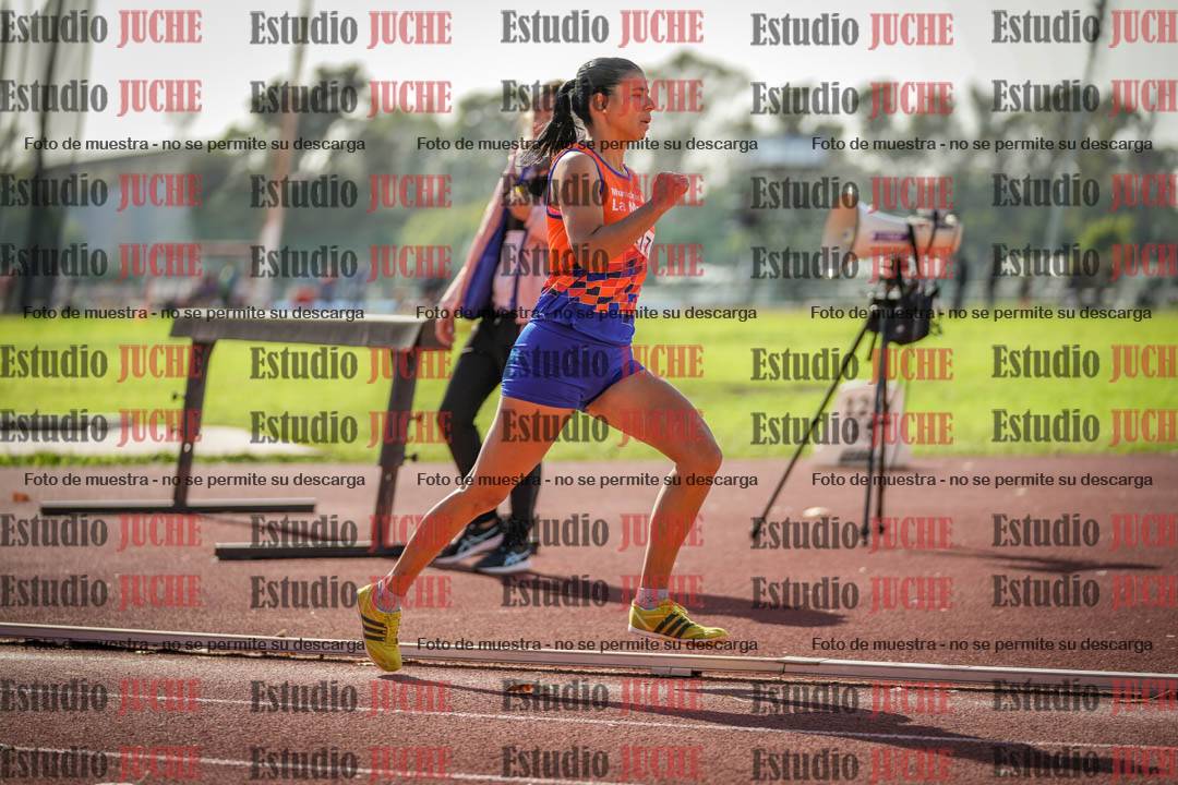Fotos de los 800 m llanos de mujeres