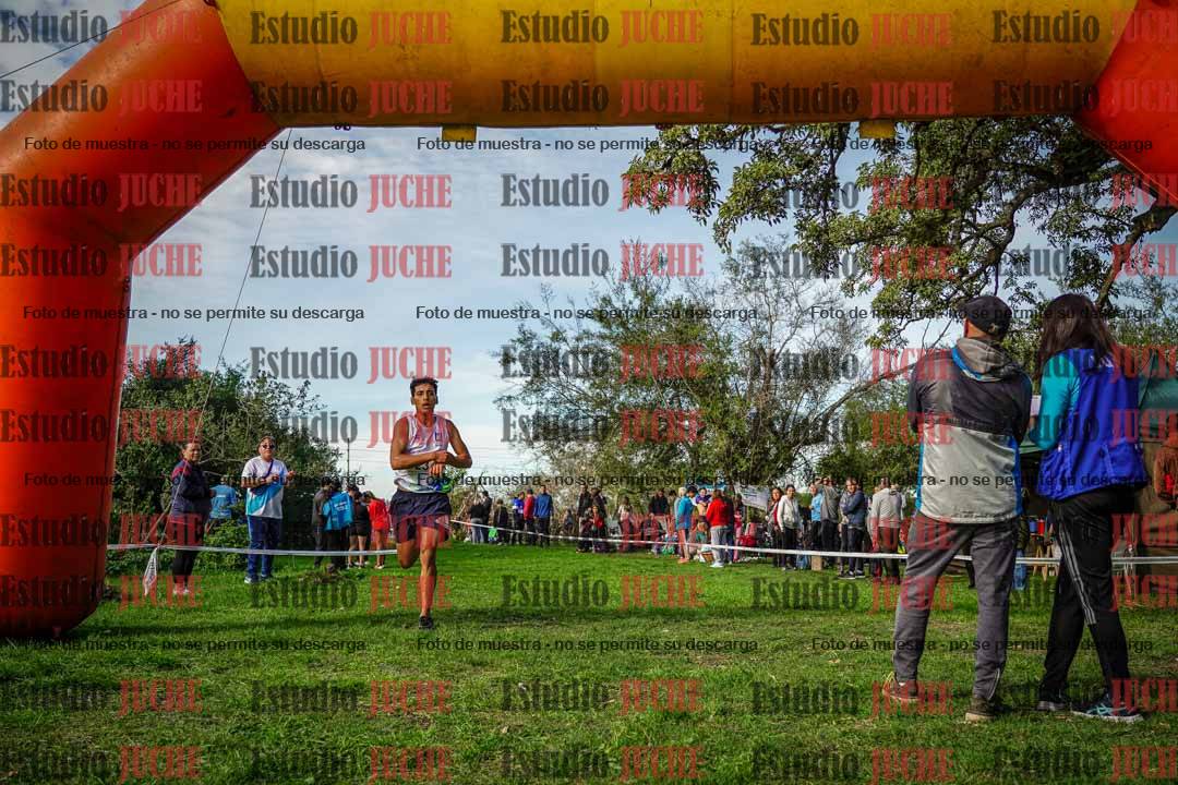 Fotos de la llegada del cross de 6000 m