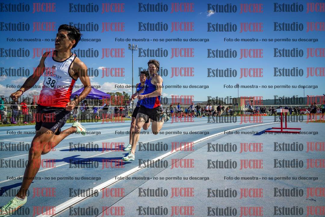 Fotos de los 800 m llanos de varones