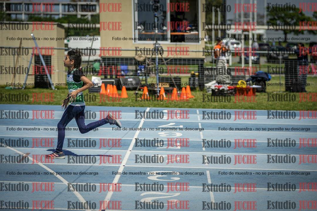 Fotos de los 60 m con vallas de mujeres