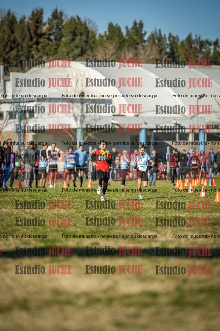Fotos de las llegadas