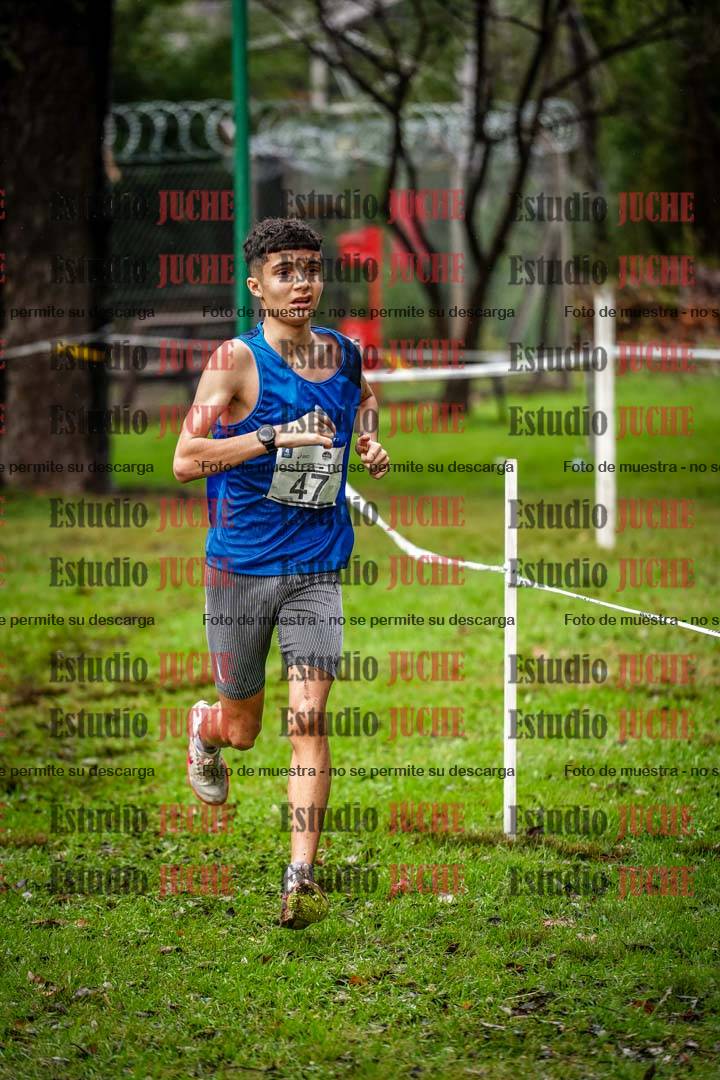 Fotos en el circuito