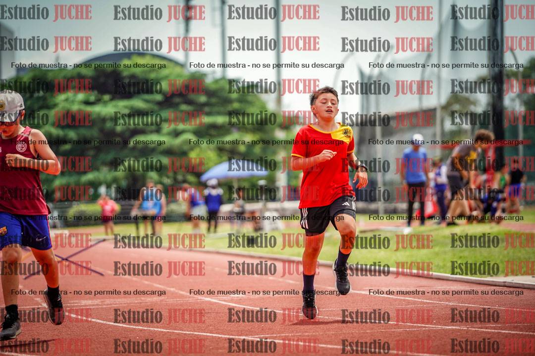Fotos de los 60 m con vallas de varones