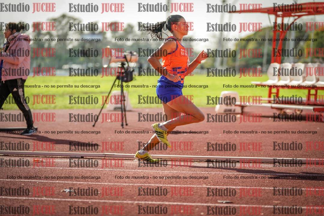 Fotos de los 800 m llanos de mujeres