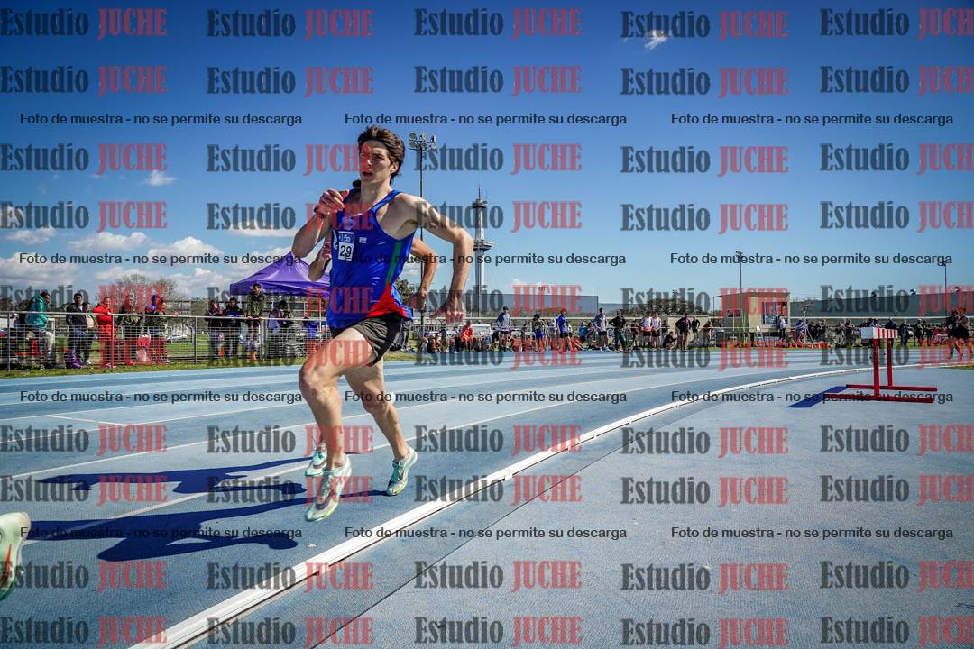 Fotos de los 800 m llanos de varones