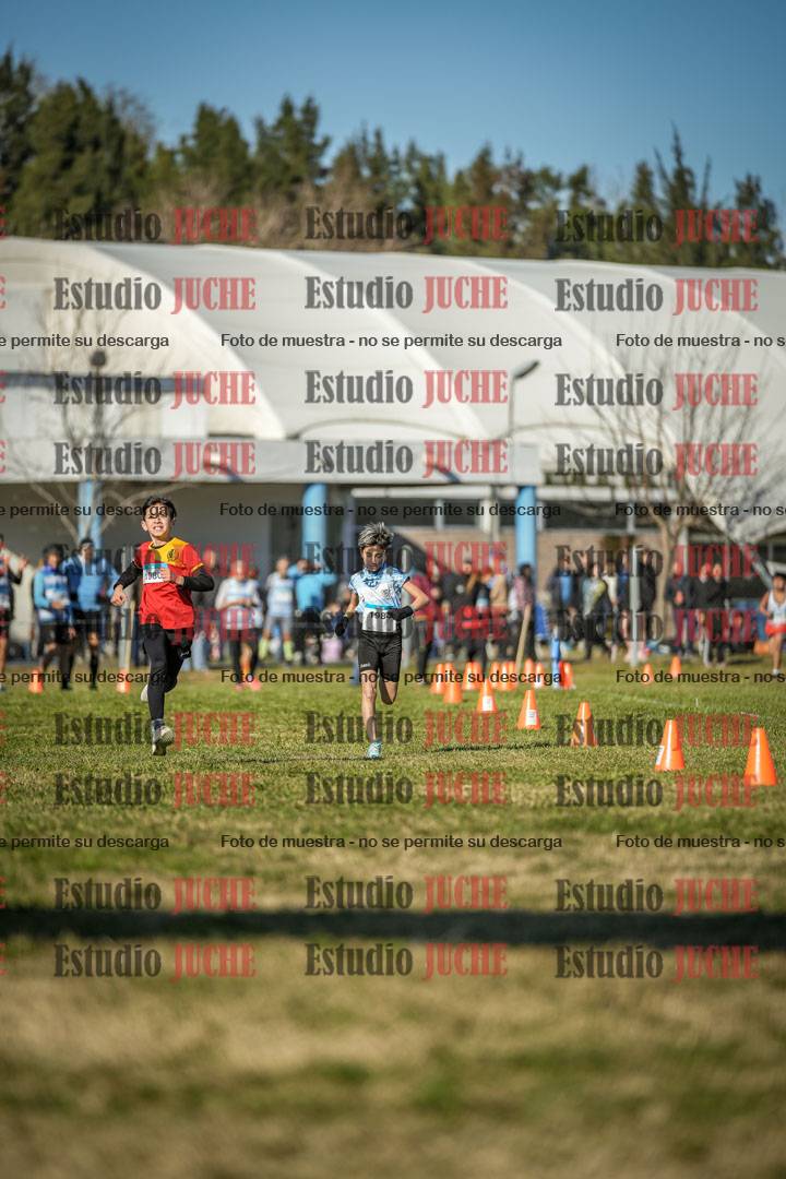 Fotos de las llegadas
