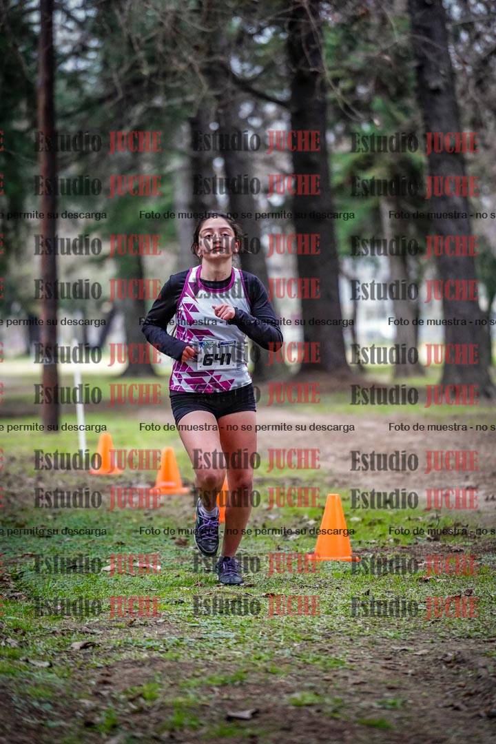 Fotos en el circuito
