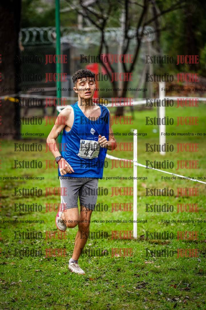 Fotos en el circuito