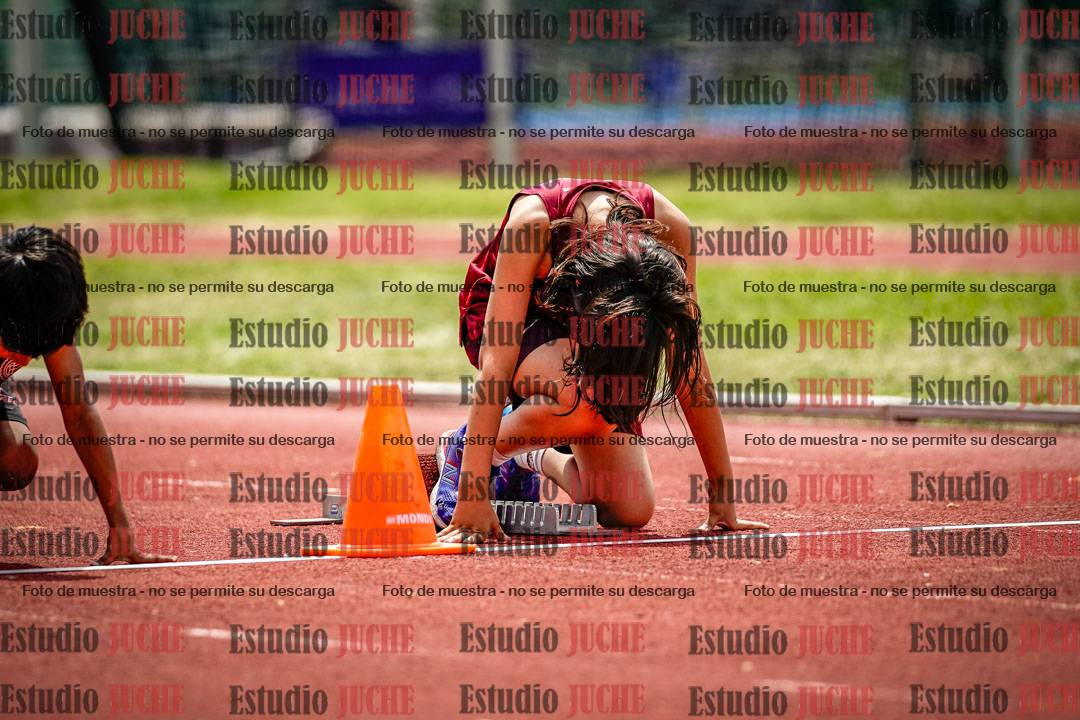 Fotos de los 60 m con vallas de varones