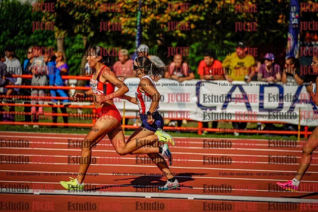 Fotos de los 1500 m llanos de mujeres