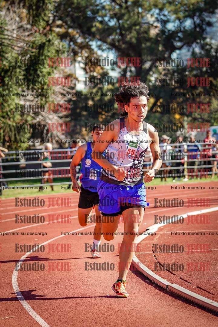 Fotos de los 800 m llanos de varones