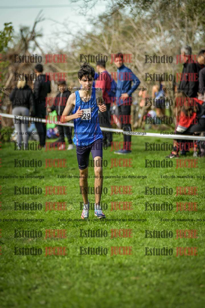 Fotos de la llegada del cross de 6000 m
